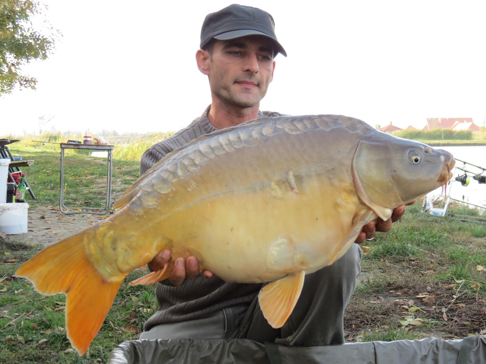 The best pictures of 2013 - 10,120